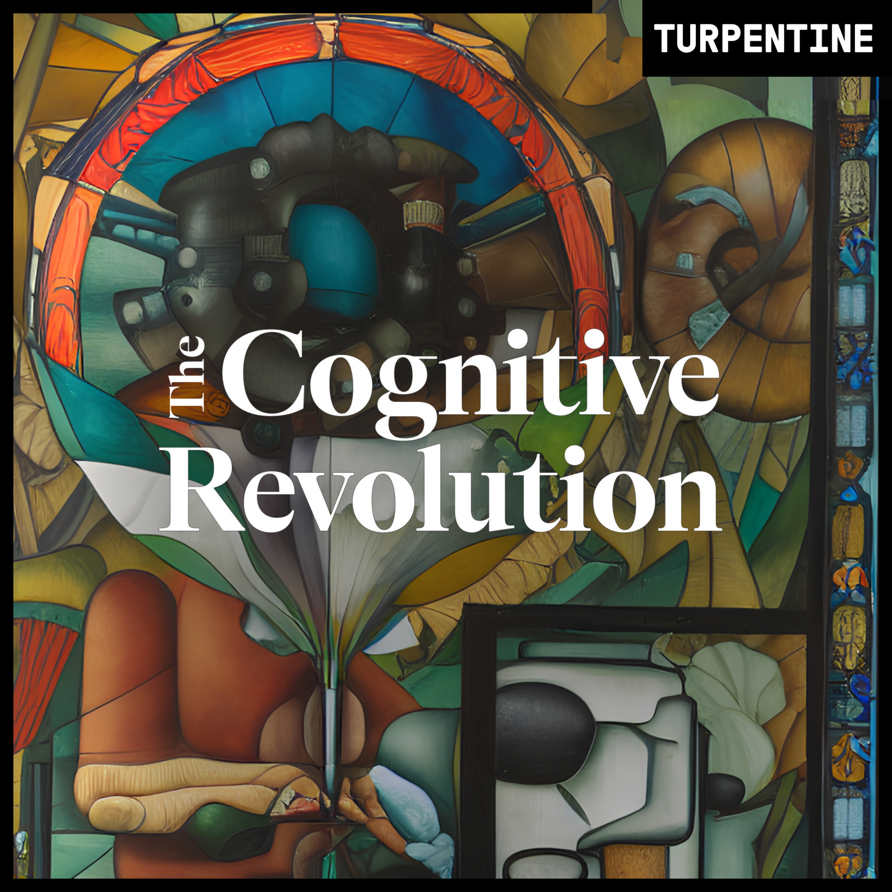 The Cognitive Revolution avatar